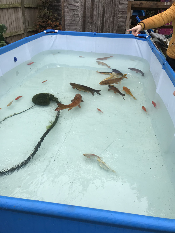 C4AE01D6-02D3-46B7-8B61-DC524F4B3276