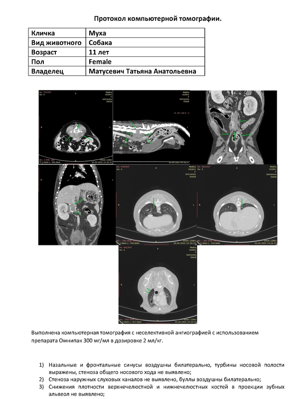 КТ Муха_Страница_1