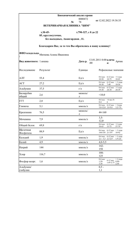 99274029-17AD-49C6-BBE9-81582D24E3F7