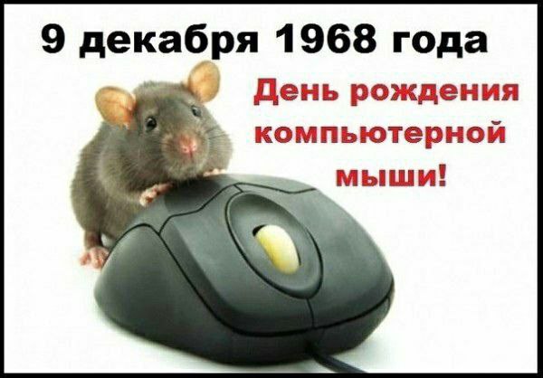 IMG_20231209_105838_344