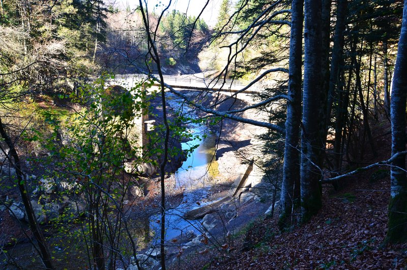 SELVA DE IRATI-14-11-2015-NAVARRA - Paseando por España-1991/2024 (49)