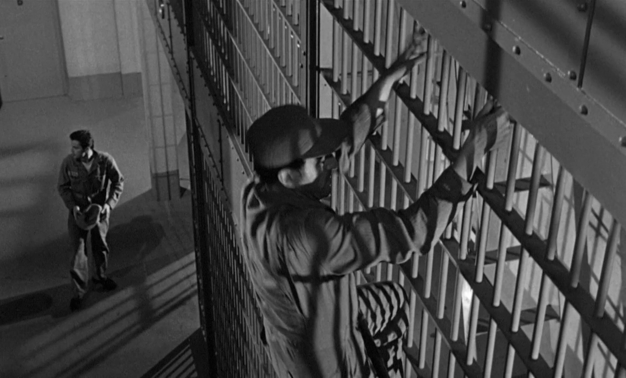 vlcsnap-2023-10-22-15h12m53s773