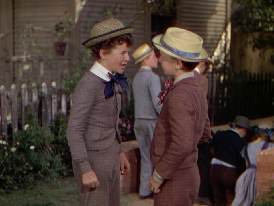 vlcsnap-2021-06-06-19h19m49s471