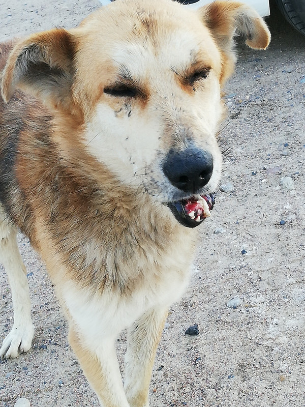 23A12D2B-F9FC-4244-8FC0-B437A01F4EA5