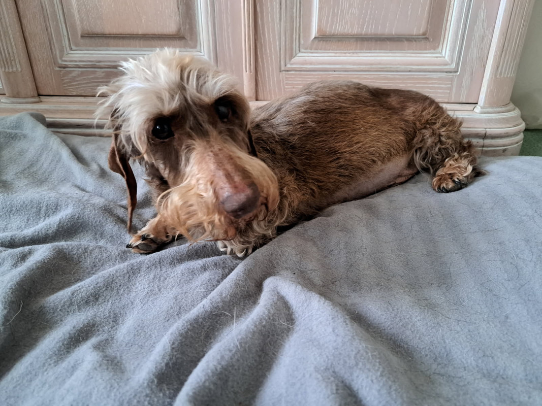 [Image: IMG-20250510-141935.jpg]