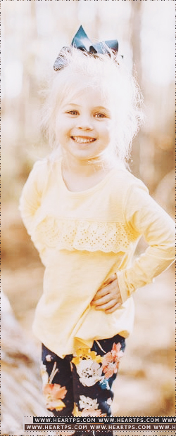 ���� ���� ������ �� ���� ������