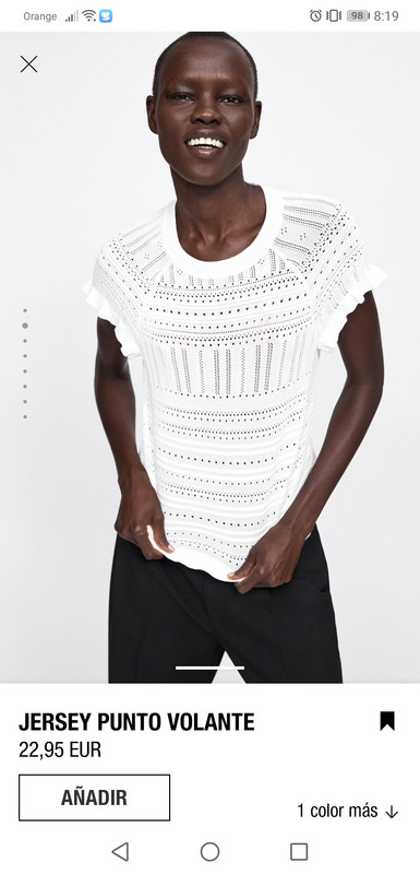 Screenshot_20190206_081953_com.inditex.zara