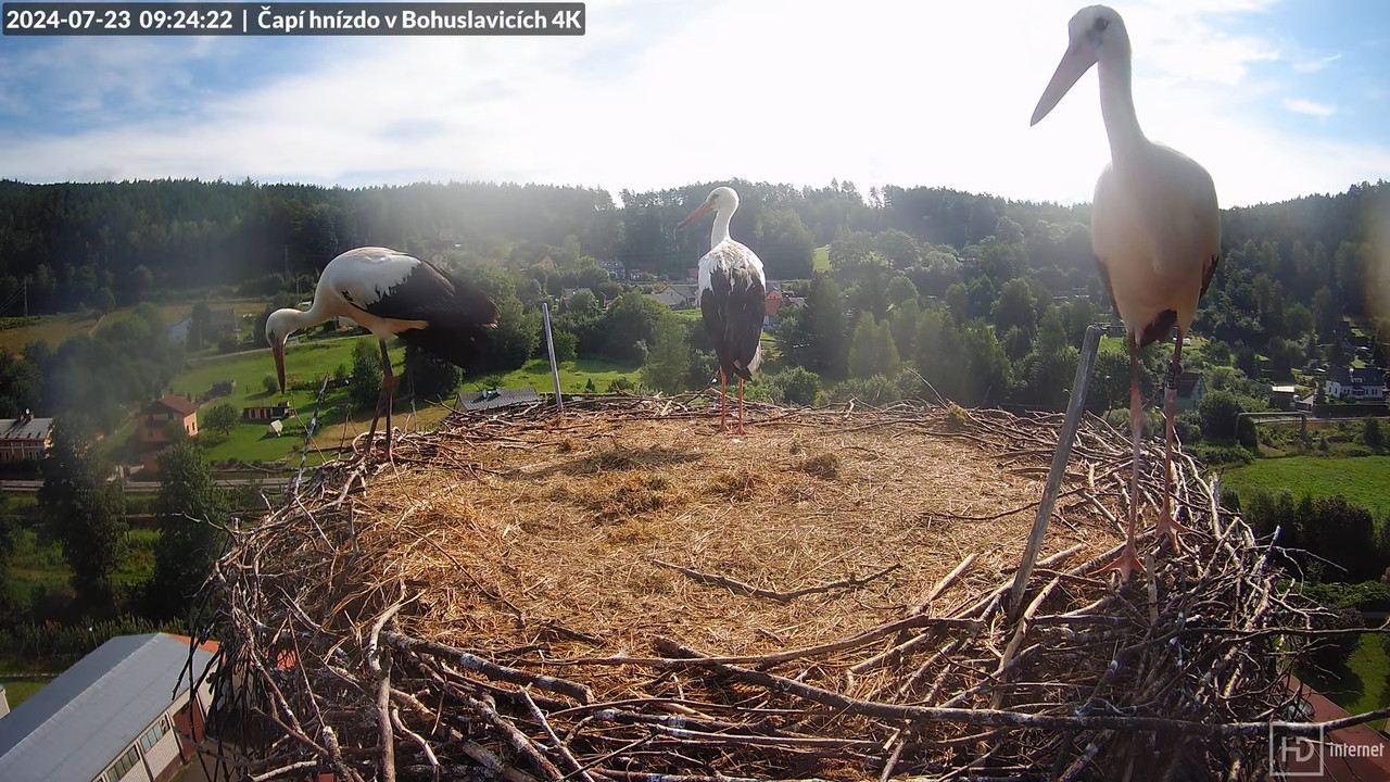Tiešraidē no uzņēmuma KARA stārķa skursteņa Bohuslavicē pie Trutnovas 9-41-42 screenshot