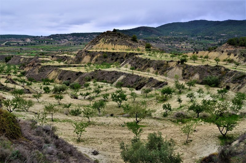 BARRANCO DE GEBAS-8-11-2012-MURCIA - Paseando por España-1991/2024 (9)