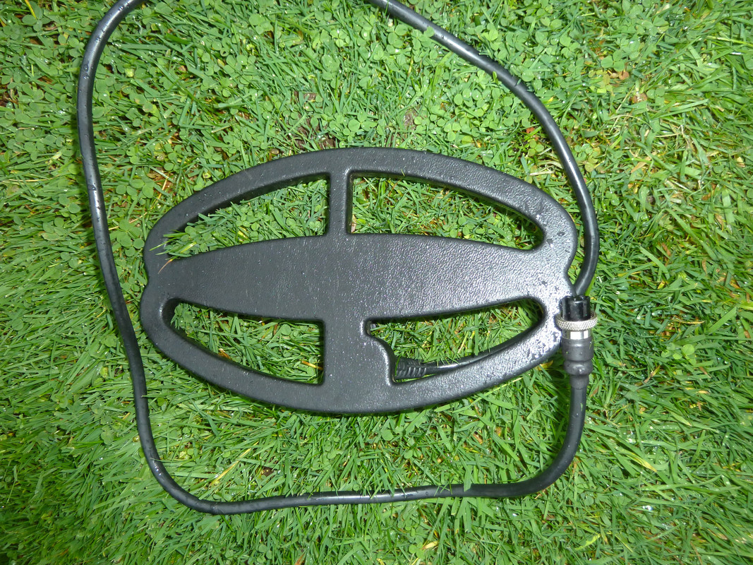 detectors 019