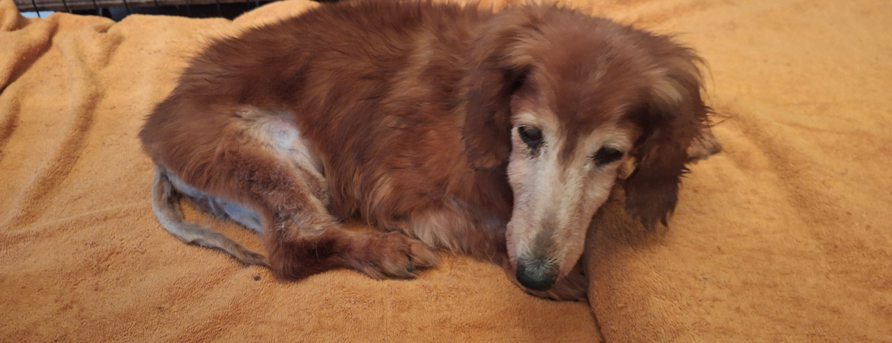 [Image: 20250325-084343.jpg]