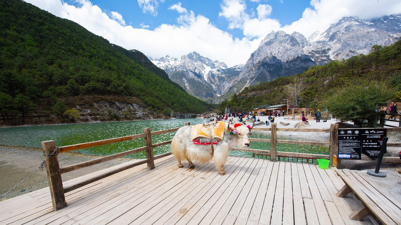 Yunnan 2019 - Blogs de China - Dia 5 - Lijiang y Alrededores (19)