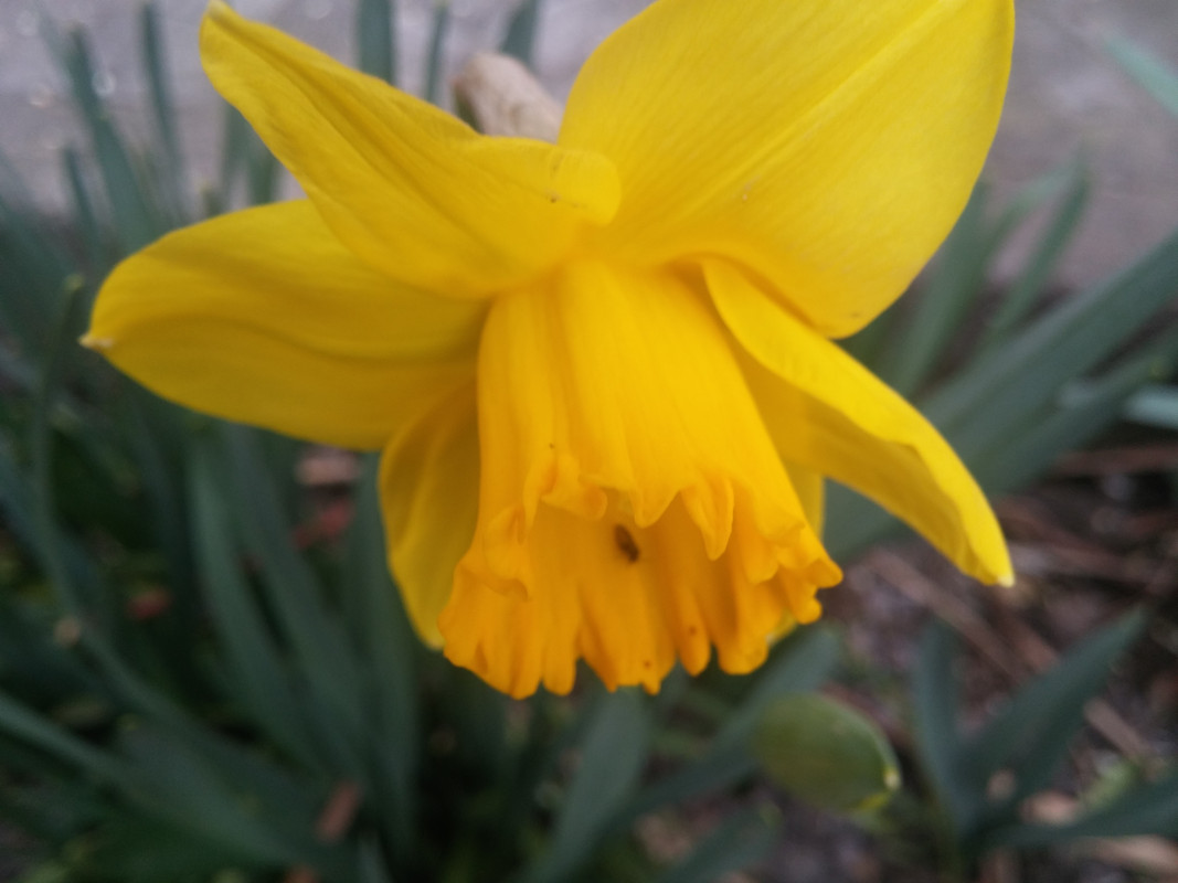 20190302_165438