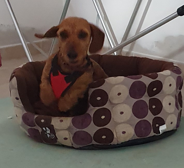 [Image: 20200702-074058.jpg]