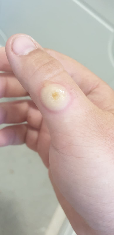 Whats App Image 2025 12 04 at 18 50 01 e199db51