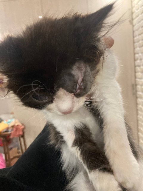 E2FD284D-65BC-4876-AFC8-EF4F463BF379