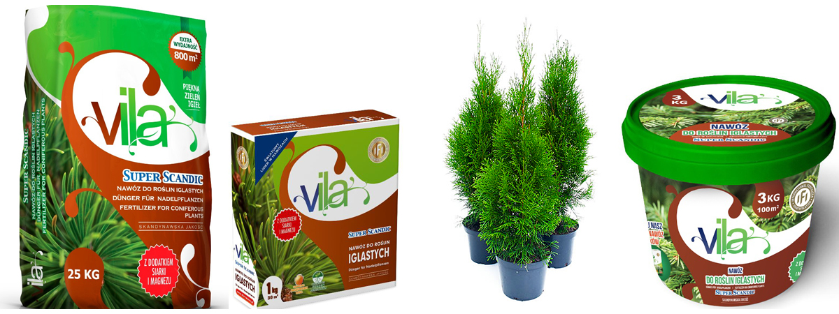 vila