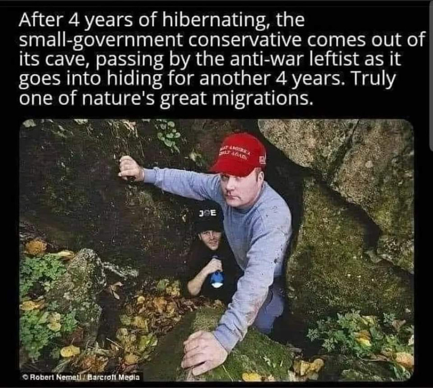 FB_IMG_1611113143179