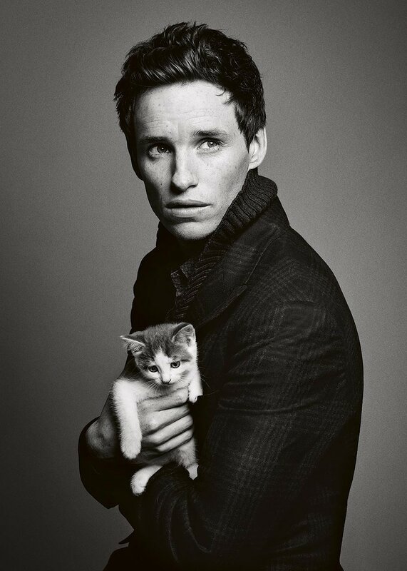 eddie-redmayne-674350