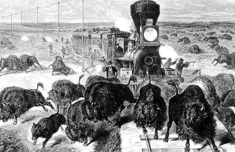 Геноцид индейцев Америки - история и факты Геноцид индейцев Америки - история и факты