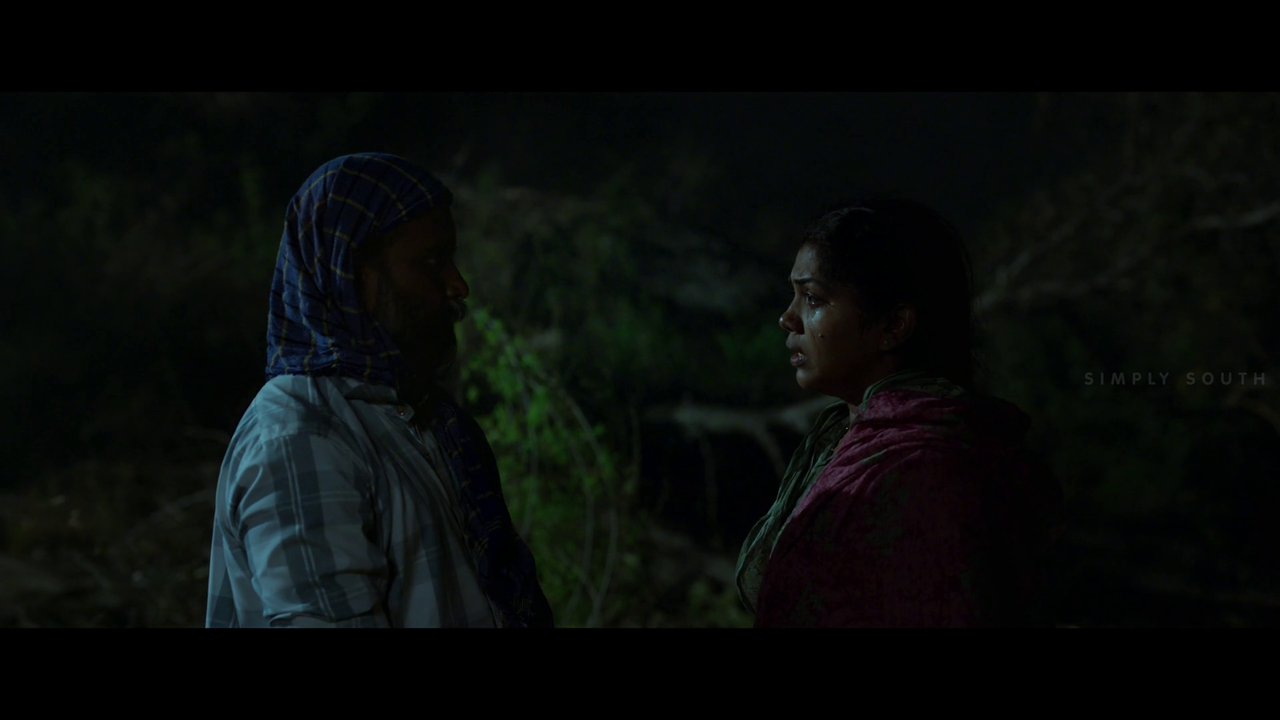 vlcsnap 2025 11 02 13h43m30s716