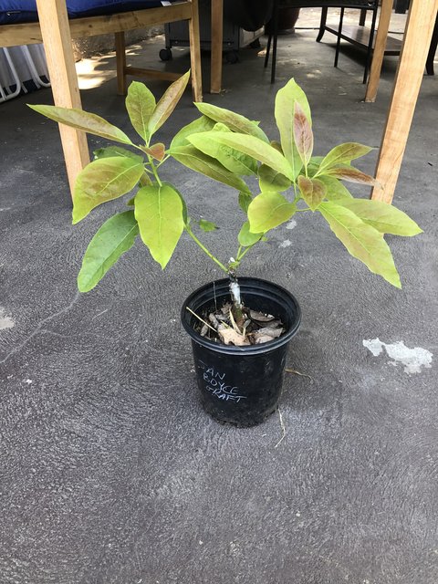 2CB41E1D-D191-49C1-BBFE-16104B0AD923