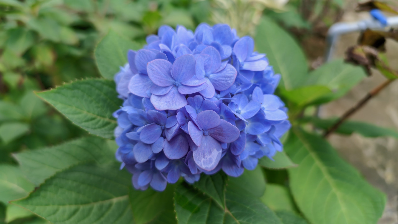 LMC-20250129-105022-lmc-8-4