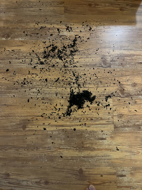 5B02A317-5E76-42DC-B1DE-B995C05AFAF3