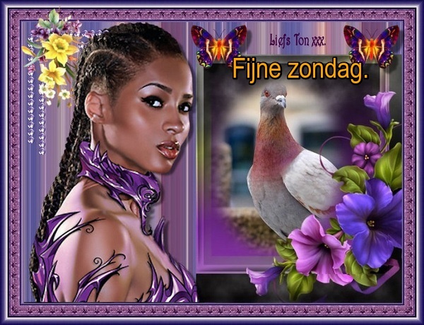 www.krabbelplaatjes.com