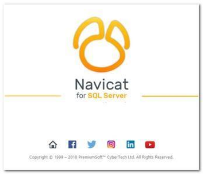 fdd2dc9e db85 45e7 81dd 37451d2f509a - Navicat for SQL Server 12.1.15