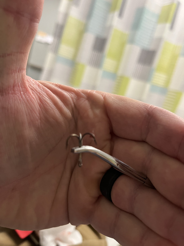 ECB7B1C7-CE26-45A9-AEA1-B66FBB70F8DC