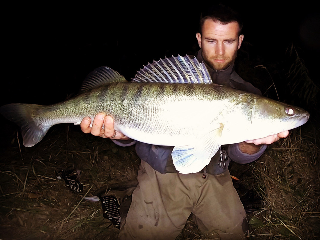 DE7-DE5-EC-B52-A-4-EAF-B909-250-CE8-B772