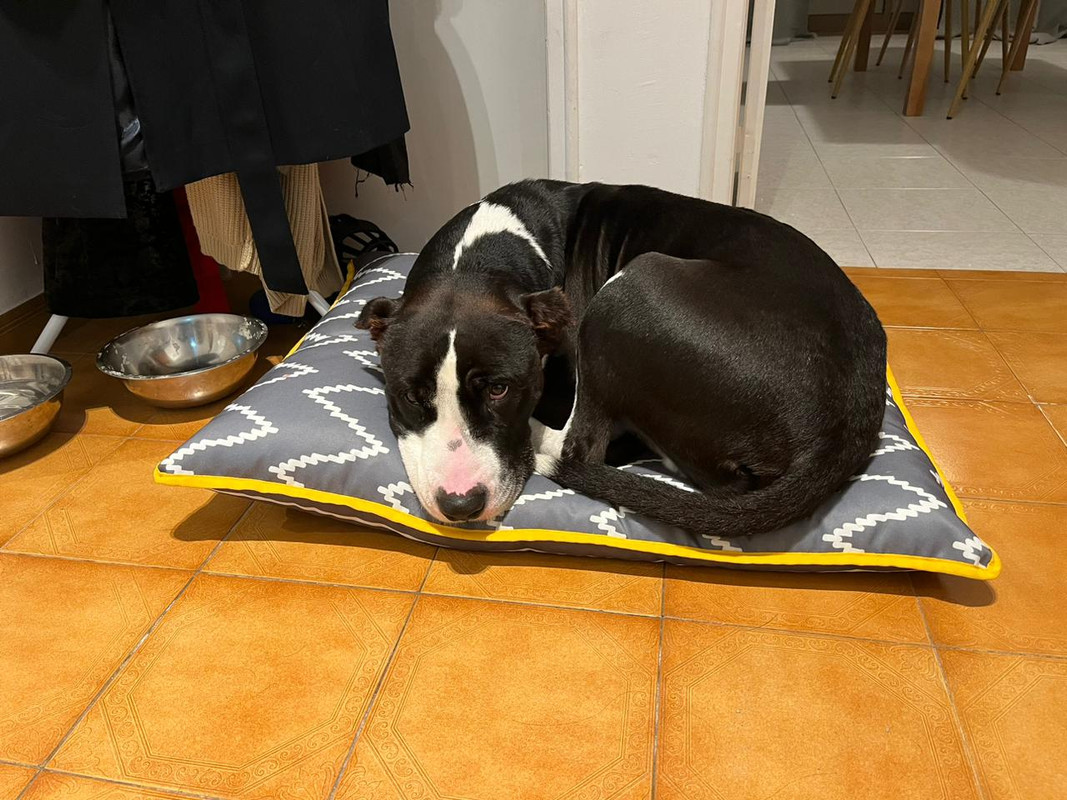 ED52F88D-C12A-41BB-9228-A73B6FB9BAAA