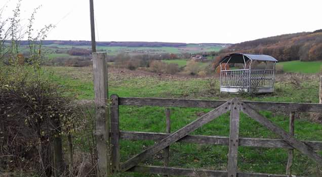 FB_IMG_1479834979837