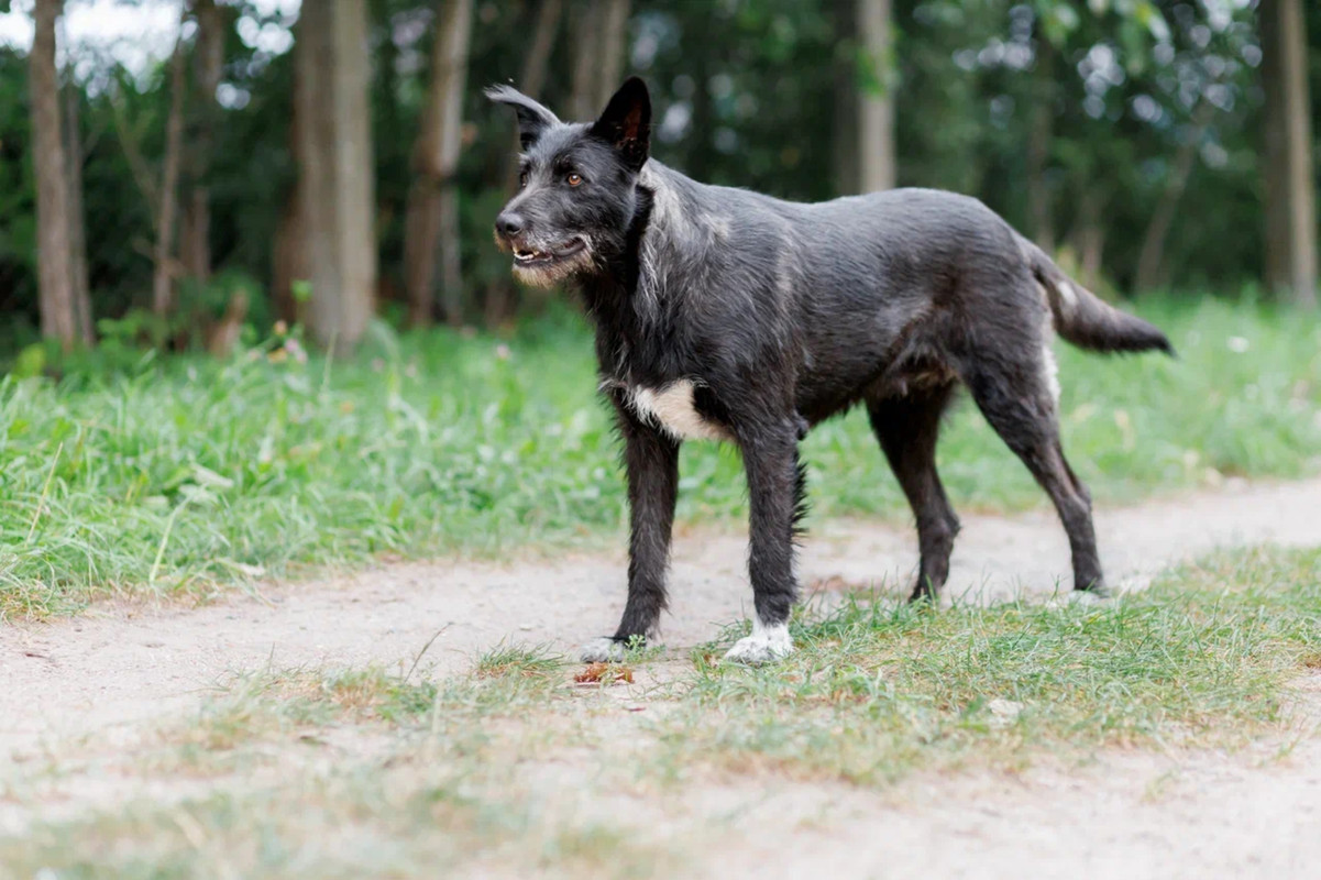 resize-image-online.com_10jpg_aBVt0KAC