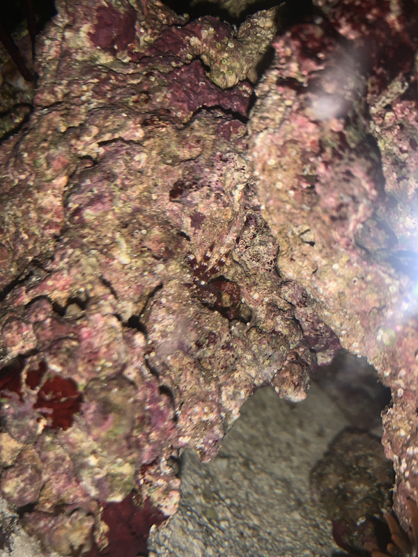 AEAA9530-1A32-4864-9F74-CD7B25A31B74