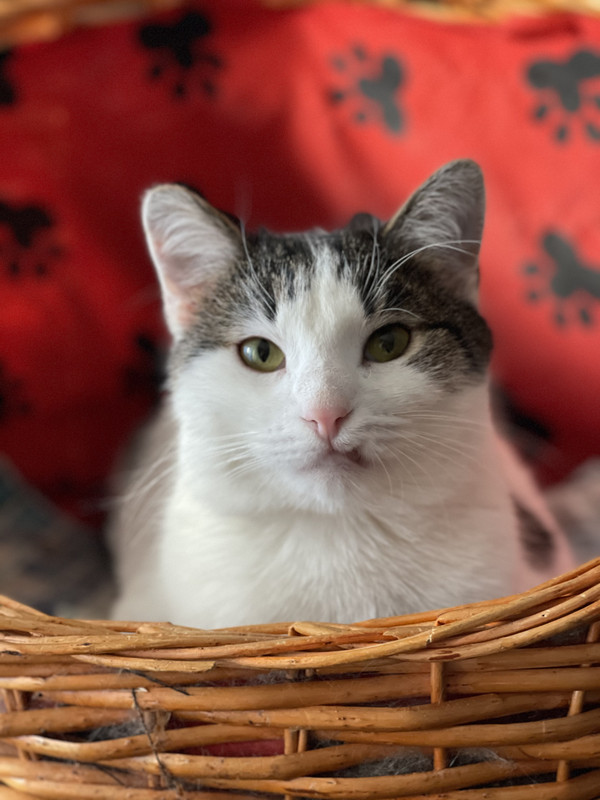 4BD5CE3D-CEB5-4472-8199-15685FB9BA89