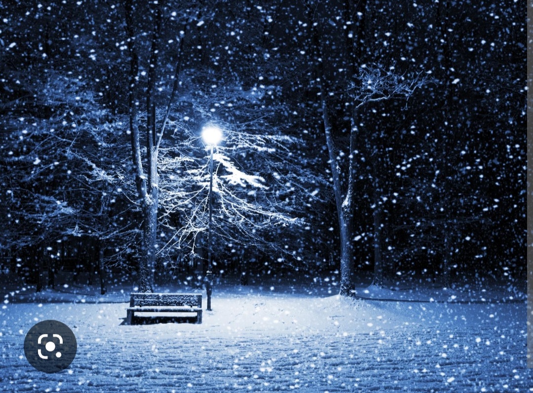 Screenshot_20221125-000936_Chrome