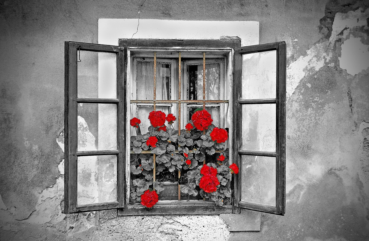 red-window-477937-1280.jpg