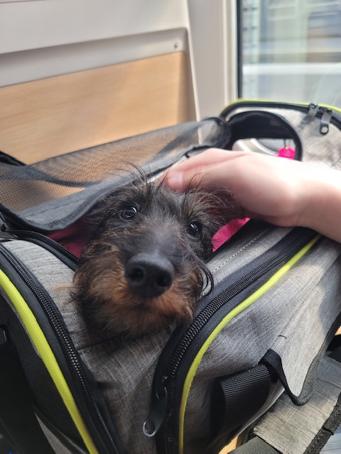 [Image: Resized-20250712-171912.jpg]