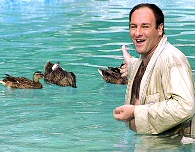 sopranos-tony-ducks