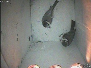 7DC9D9F0-A50B-4F0E-9E88-58AEA901274B