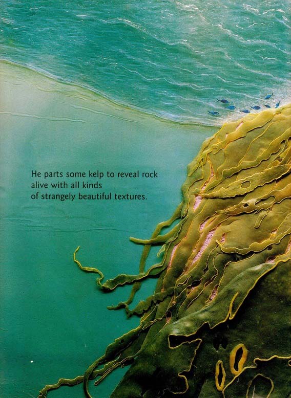 main-qimg-45f0766adae0e842bb7aaa433a21f66c-c