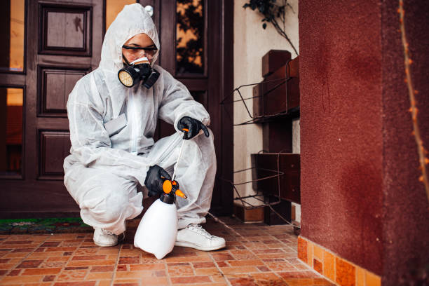 Ant control service