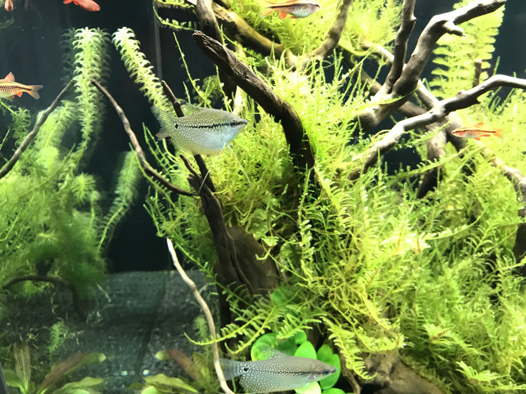 959C70C0-B577-4FBB-857A-2782B11F8A51