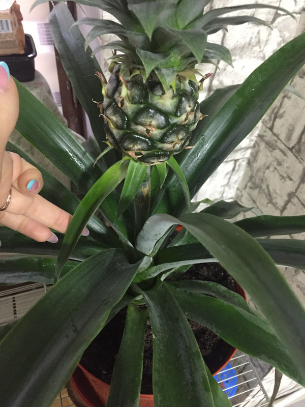 B29AF673-390C-42AF-ACA7-F22019B29B32