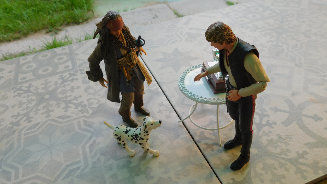 Дачно-Харлинский июнь-июль 2024 113