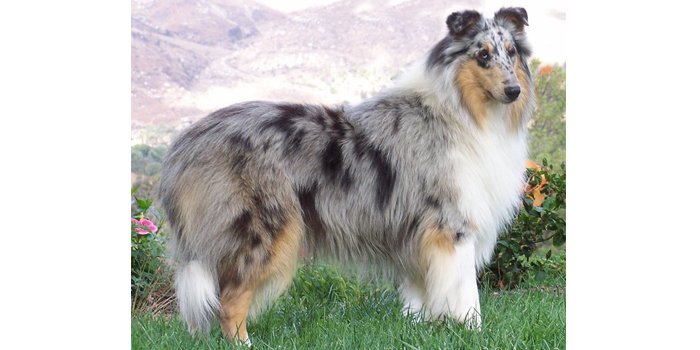 9AB7C824-8289-42E3-8D95-77635393DB2D