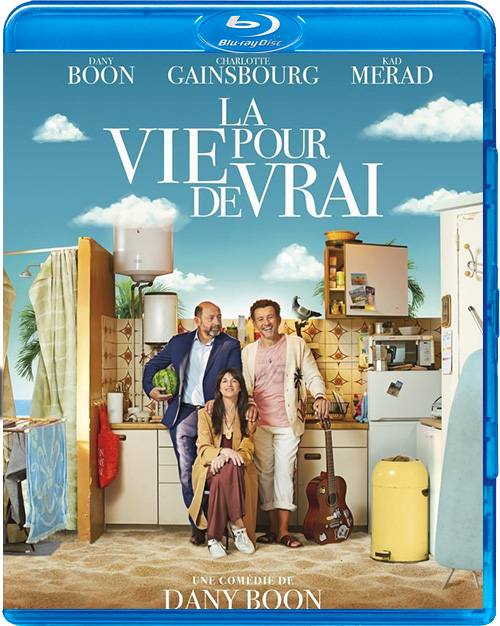 De vuelta a la realidad (2023) [BDRip 1080p X265 10bits][Castellano AC3 5.1/Frances AC3 5.1][Subs][Comedia]