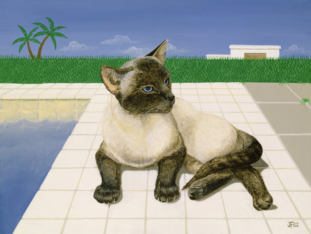 Joan-Freestone-Siamese-cat-by-a-swimming-pool-Meister-Drucke-546804